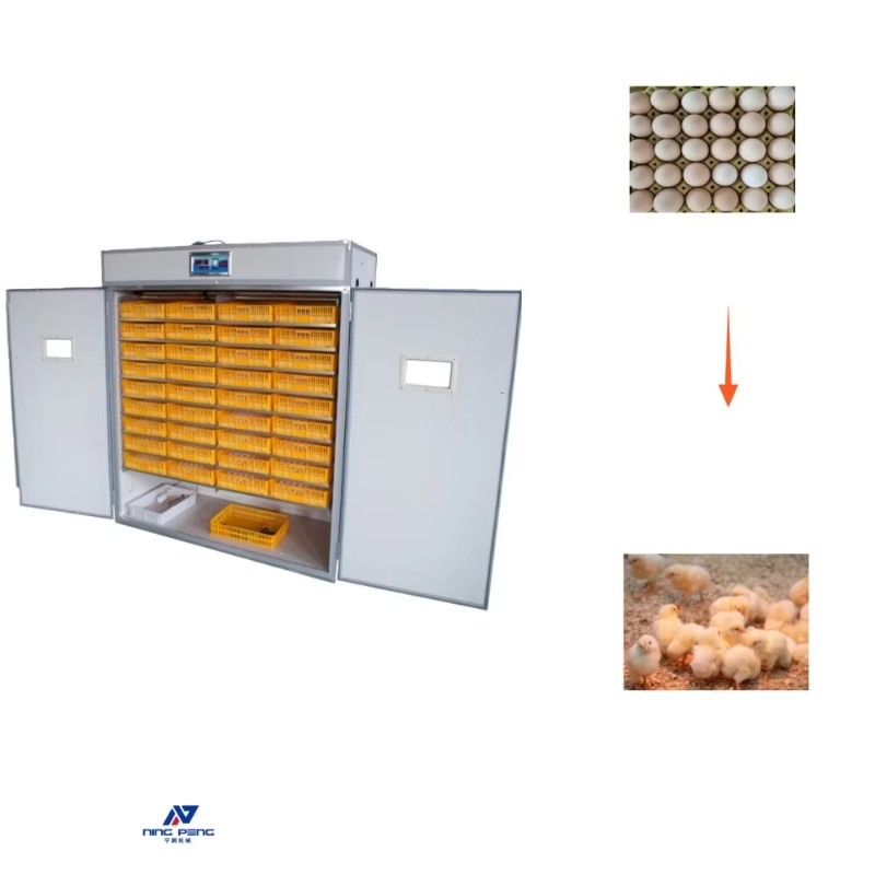 Poultry Incubator - Pluimvee-eierenbroedmachine, zonne-eierenbroedmachine, broedmachine voor 500 eieren
