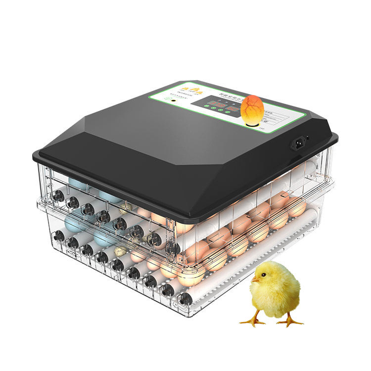 Poultry Incubator - Breed toegepaste automatische pluimvee-ei-broedmachine, kleine mini-incubator