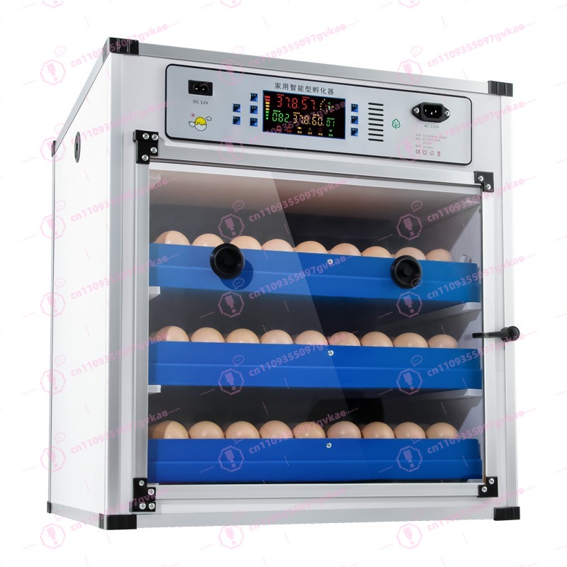 Poultry Incubator - Draagbare huishoudelijke ei-incubator, kleine broedmachine voor
