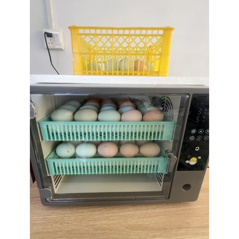Fabrieksdirect 2026 Volautomat - Poultry Incubator recensie en prijs