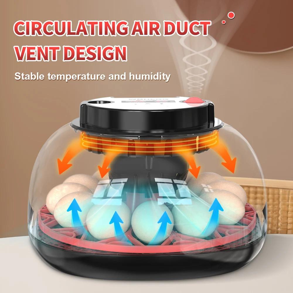 12-eierbroedmachine met automa - Poultry Incubator recensie en prijs