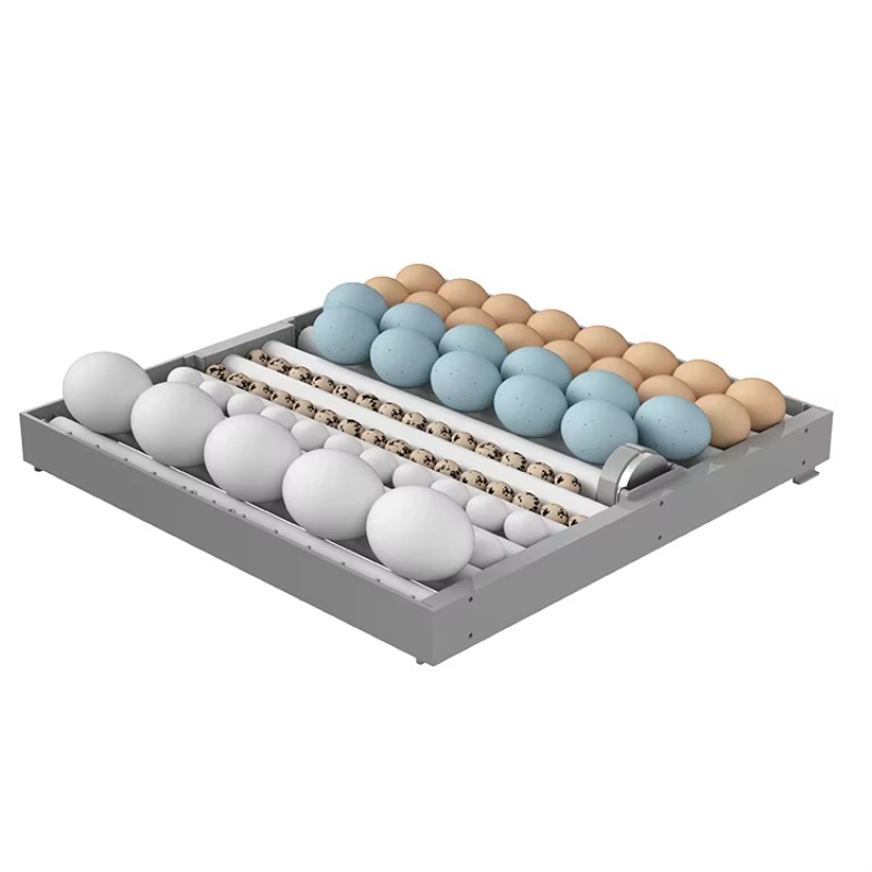 2026 7-laags 448-eieren intell - Poultry Incubator recensie en prijs