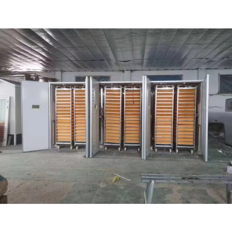 Pluimvee-eierenbroedmachine, z - Poultry Incubator recensie en prijs